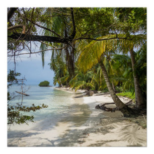 Tropical Grove Poster