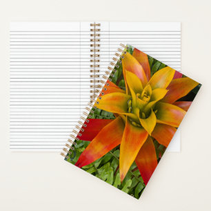 Tropical Guzmania Plant Floral Notebook