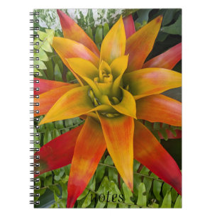Tropical Guzmania Plant Floral Notebook