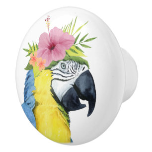 Tropical Halo - Parrot Ceramic Knob