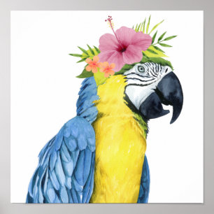 Tropical Halo - Parrot Poster