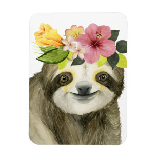 Tropical Halo   Sweet Sloth Magnet