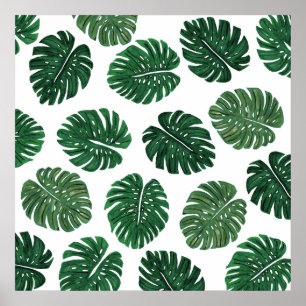Tropical Hand Painted Swiss Cheese Plant Leaves Poster