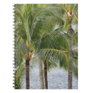 Tropical Hawaii Palm Trees Notebook