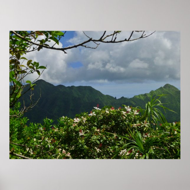 Tropical Hawaii Poster (Front)