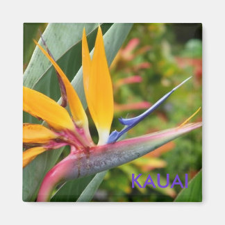 Tropical Hawaiian Flowers Bird-Of-Paradise Kauai Magnet