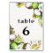 Tropical Hawaiian table number