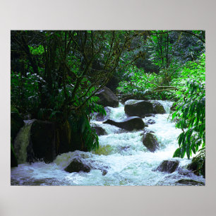 Tropical Hawaiian Waterfall Poster