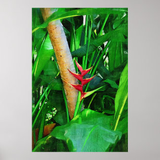 Tropical Heliconia - Walk in the garden Poster