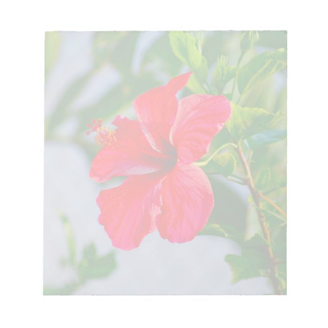 Tropical HIbiscus Floral Print Notepad (Front)