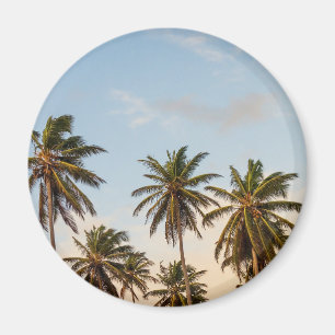 Tropical Holiday Palm Trees Magnet