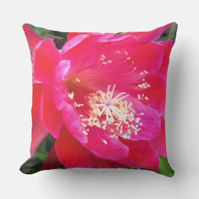 Tropical Hot Pink Epie Flower Photo Cushion (Front)