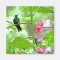 Tropical Hummingbird and Flowers