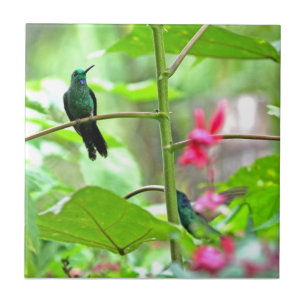 Tropical Hummingbird and Flowers Tile