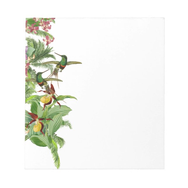 Tropical Hummingbird Bird Orchid Flower Notepad (Front)