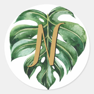 Tropical Initial Envelope Seals