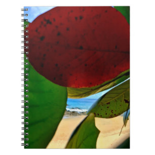 Tropical Inspiration Notebook