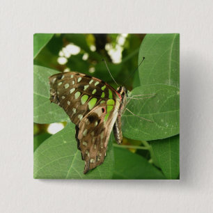 Tropical Iridescent Green Butterfly Button