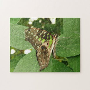 Tropical Iridescent Green Butterfly Puzzle