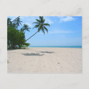 Tropical Island Beach, Seychelles) Postcard