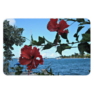 Tropical Island Flowers Magnet