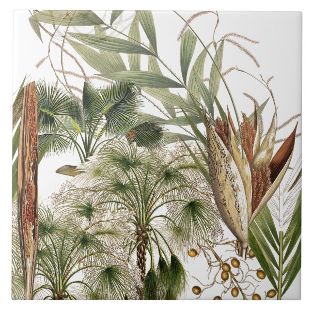 Tropical Island Palm Tree Fronds Ceramic Tile (Front)