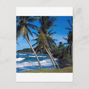 Tropical Island Summer Waves St Lucia Postcard