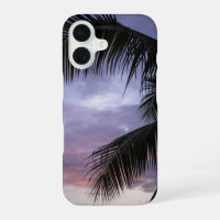 Tropical Island Sunset Landscape