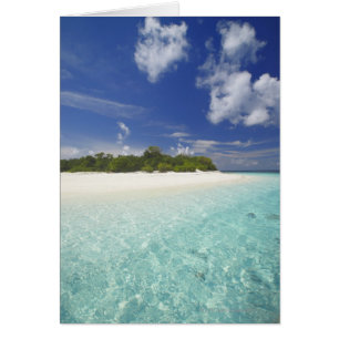 Tropical island surrounded by lagoon, Maldives,