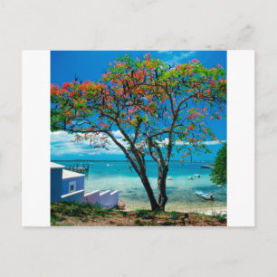 Tropical Island Tropical Escape Bahamas Postcard