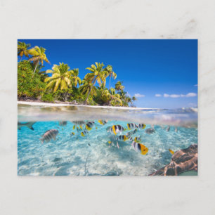 Tropical island under and above water postcard
