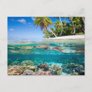 Tropical island under and above water postcard