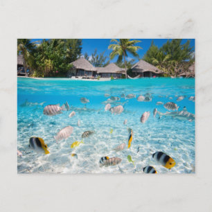 Tropical island under and above water postcard