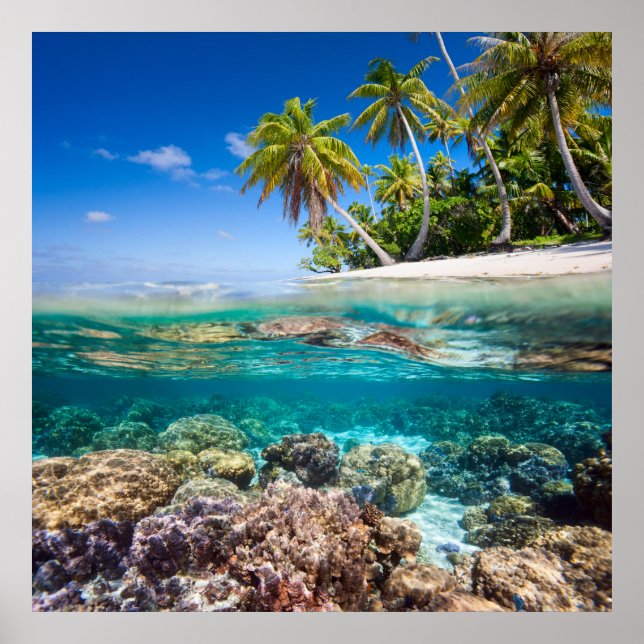 Tropical island under and above water poster (Front)