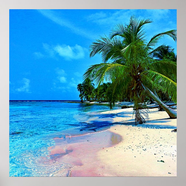 Tropical Island With Palm Trees And Sandy Beach Poster (Front)