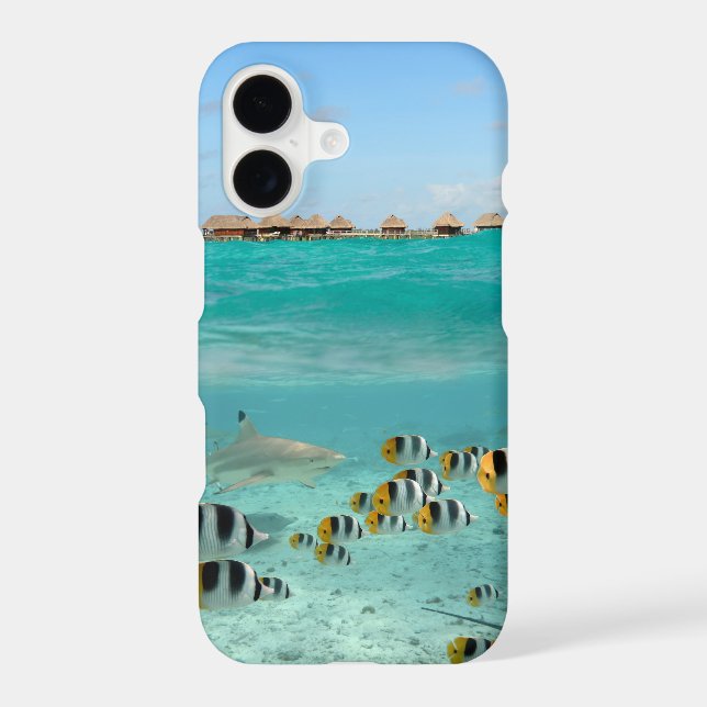 Tropical island with underwater shark (Back)