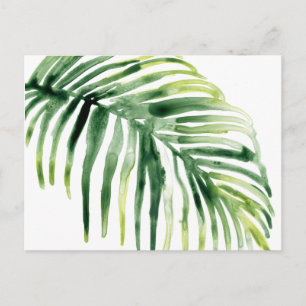 Tropical Jewel Leaf Postcard