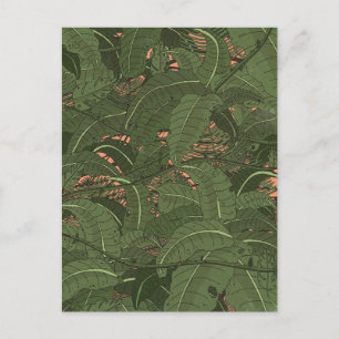 Tropical Jungle Forest Postcard