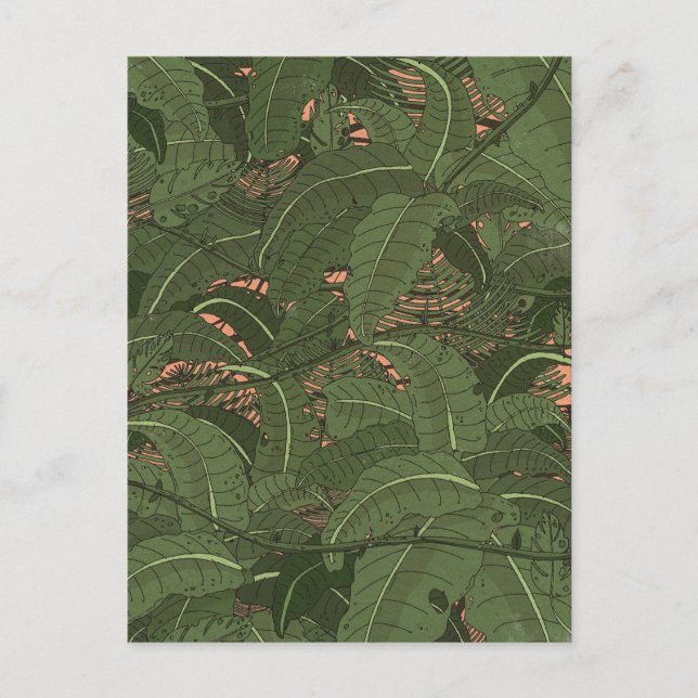 Tropical Jungle Forest Postcard (Front)