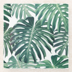 Tropical Jungle Leaves Floral Background Glass Coaster