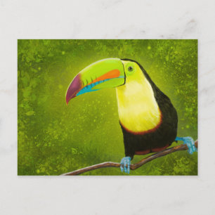 Tropical Jungle Toucan Bird Digital Painting Postcard