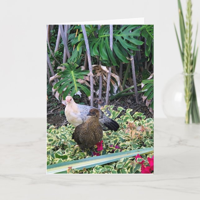 Tropical Ladies Card (Front)
