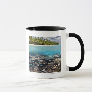 Tropical Lagoon in South Ari Atoll in the Mug