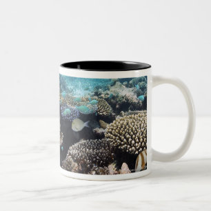 Tropical Lagoon in South Ari Atoll in the Two-Tone Coffee Mug