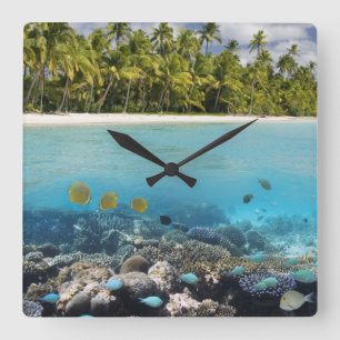 Tropical Lagoon in South Ari Atoll Square Wall Clock