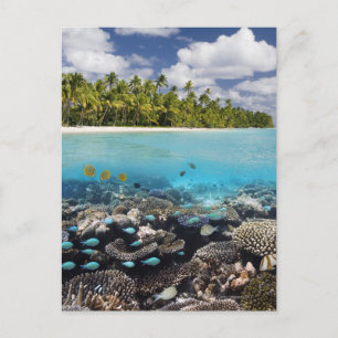 Tropical Lagoon South Ari Atoll Postcard