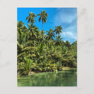 Tropical landscape, philippines, Kawasan falls Cas Postcard