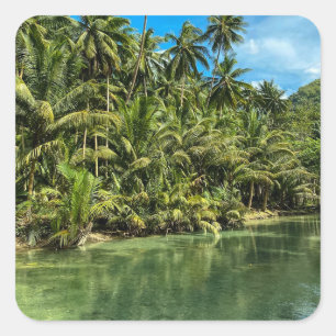 Tropical landscape, philippines, Kawasan falls Cas Square Sticker