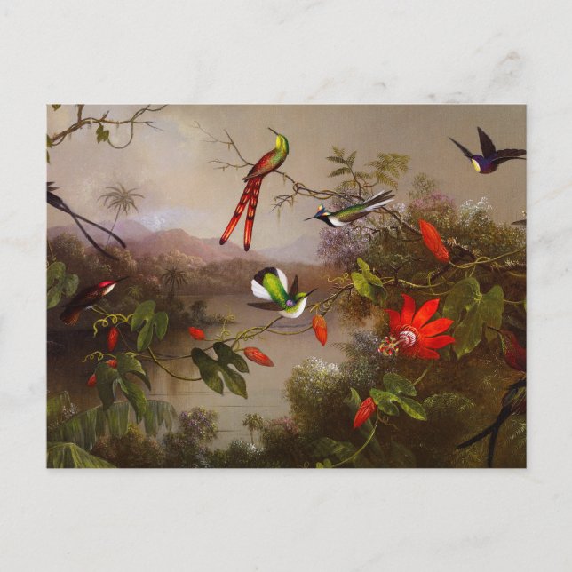 Tropical Landscape with Ten Hummingbirds Heade Postcard (Front)