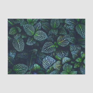 Tropical Leaf Plant Pattern Tissue Paper